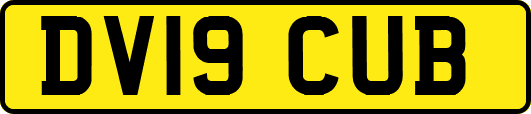 DV19CUB