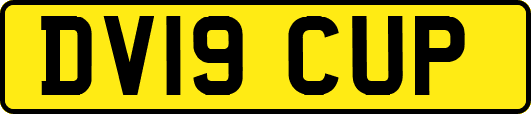 DV19CUP