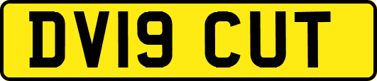DV19CUT