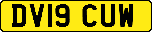 DV19CUW