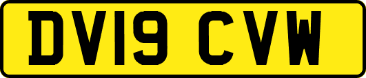 DV19CVW