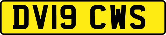 DV19CWS