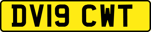 DV19CWT