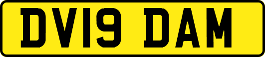 DV19DAM