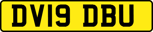 DV19DBU
