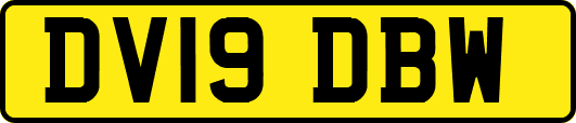 DV19DBW