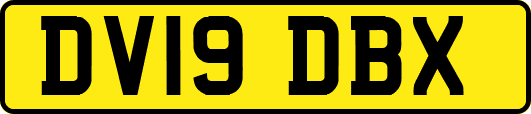 DV19DBX