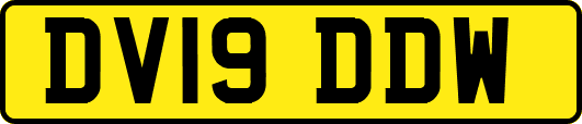 DV19DDW