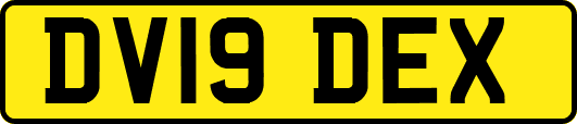DV19DEX