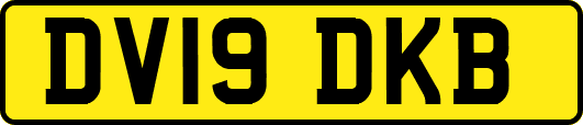 DV19DKB