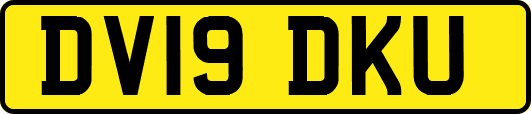 DV19DKU