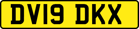 DV19DKX