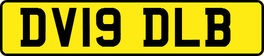 DV19DLB