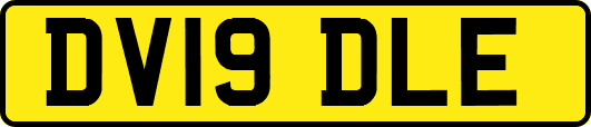 DV19DLE