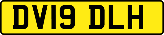 DV19DLH