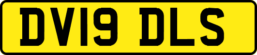 DV19DLS