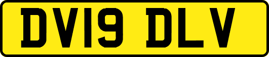 DV19DLV