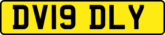 DV19DLY
