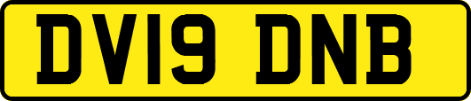 DV19DNB