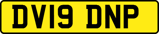 DV19DNP