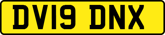 DV19DNX