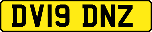 DV19DNZ