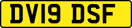 DV19DSF