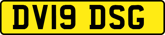 DV19DSG
