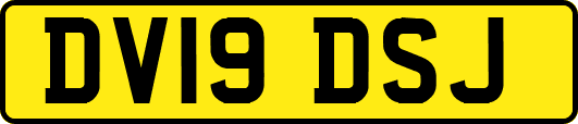 DV19DSJ