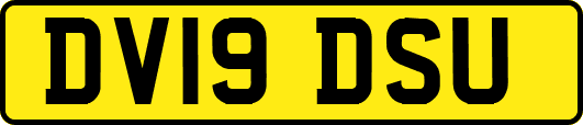 DV19DSU