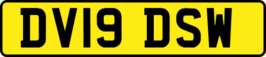 DV19DSW