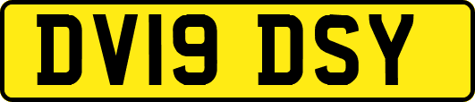 DV19DSY