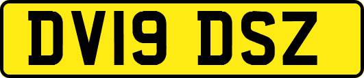 DV19DSZ