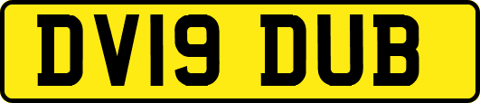DV19DUB