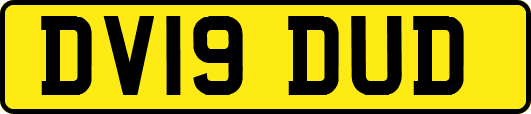 DV19DUD