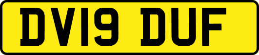 DV19DUF