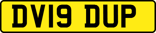 DV19DUP