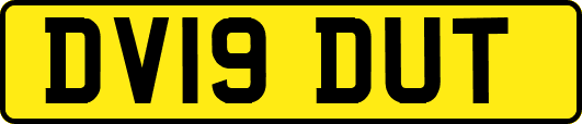 DV19DUT