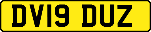 DV19DUZ
