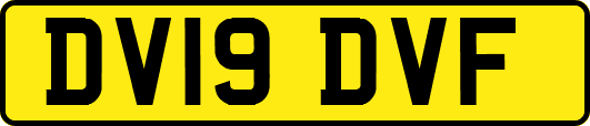 DV19DVF