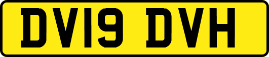 DV19DVH