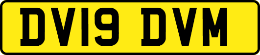 DV19DVM
