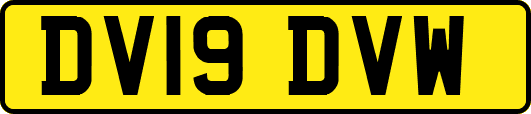 DV19DVW