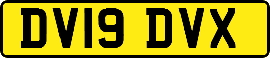 DV19DVX