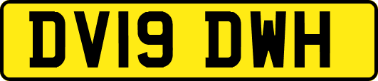 DV19DWH