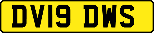 DV19DWS