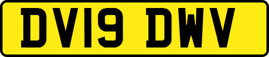 DV19DWV