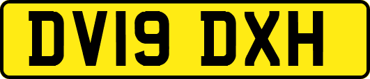 DV19DXH