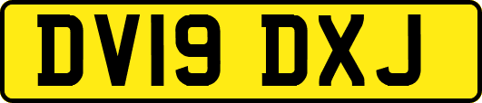 DV19DXJ