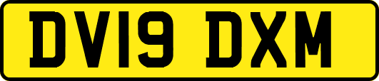 DV19DXM